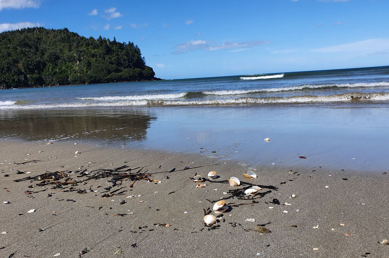 Whangamata%20ocean%20beach